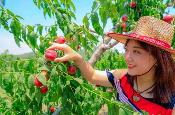 手机游戏王单机中文版_27王手机游戏下载_手机版的游戏王