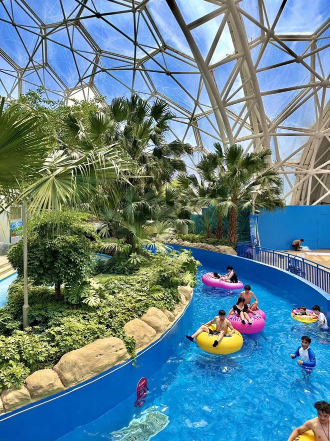 手机版的游戏王_27王手机游戏下载_手机游戏王单机中文版