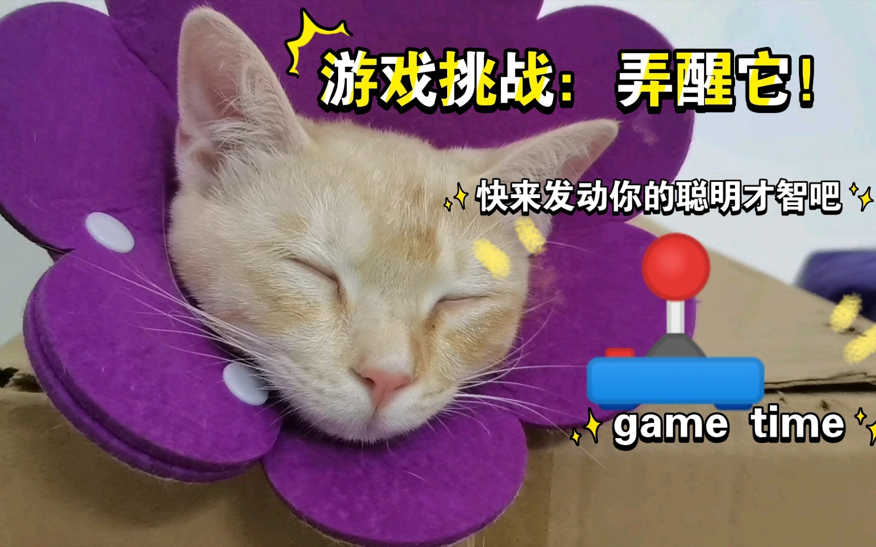 刷屏神器定海神针复制微信_可以复制的清屏专用定海神针_定海神针清屏专用怎么能