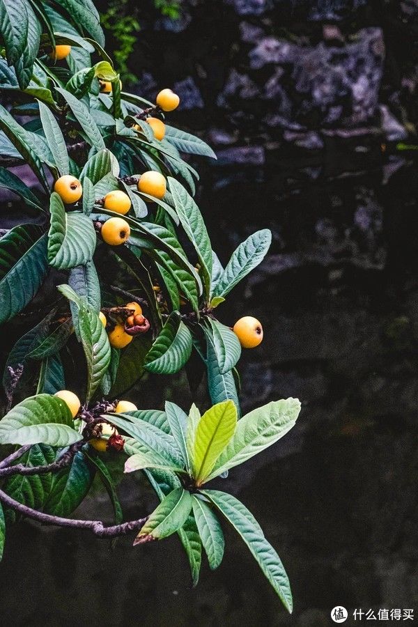 贝壳游戏九九乐游_福乐游戏中心手机游戏_乐游游戏盒有毒吗