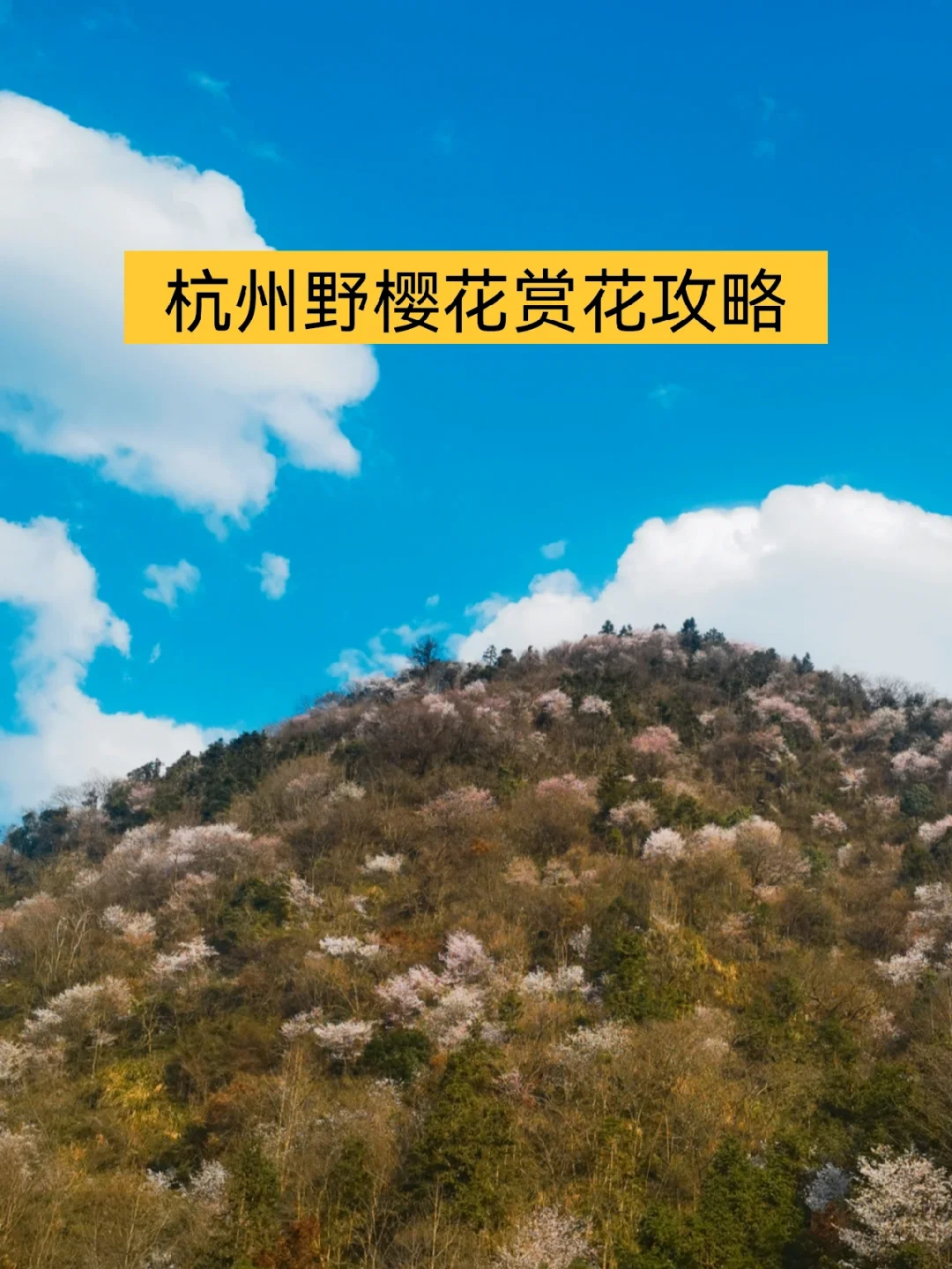 双叶みか_双叶杏_双叶家私