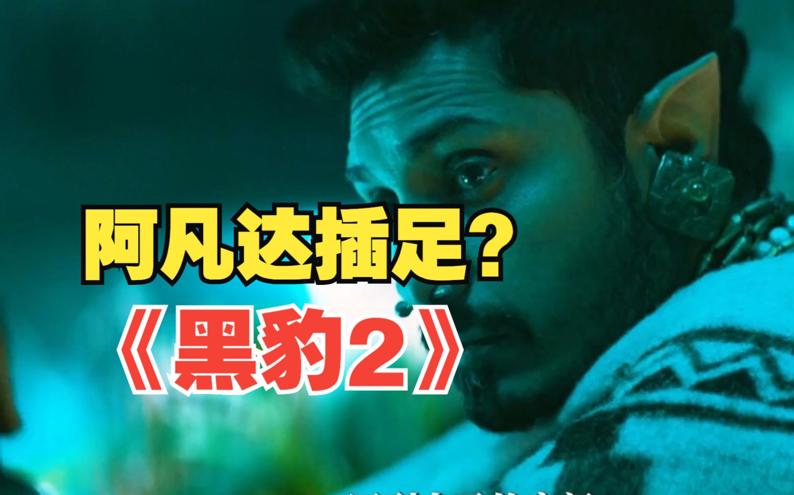 电影黑豹下载_黑豹2电影下载_电影黑豹下载漫威