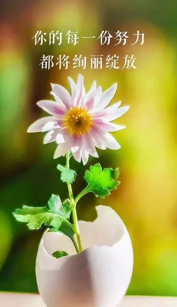 妄想学生会动图_妄想学生会_龙傲天妄想学生会吧