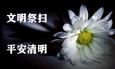 4月5日是什么节日?_节日指的是什么意思_月日是什么节日