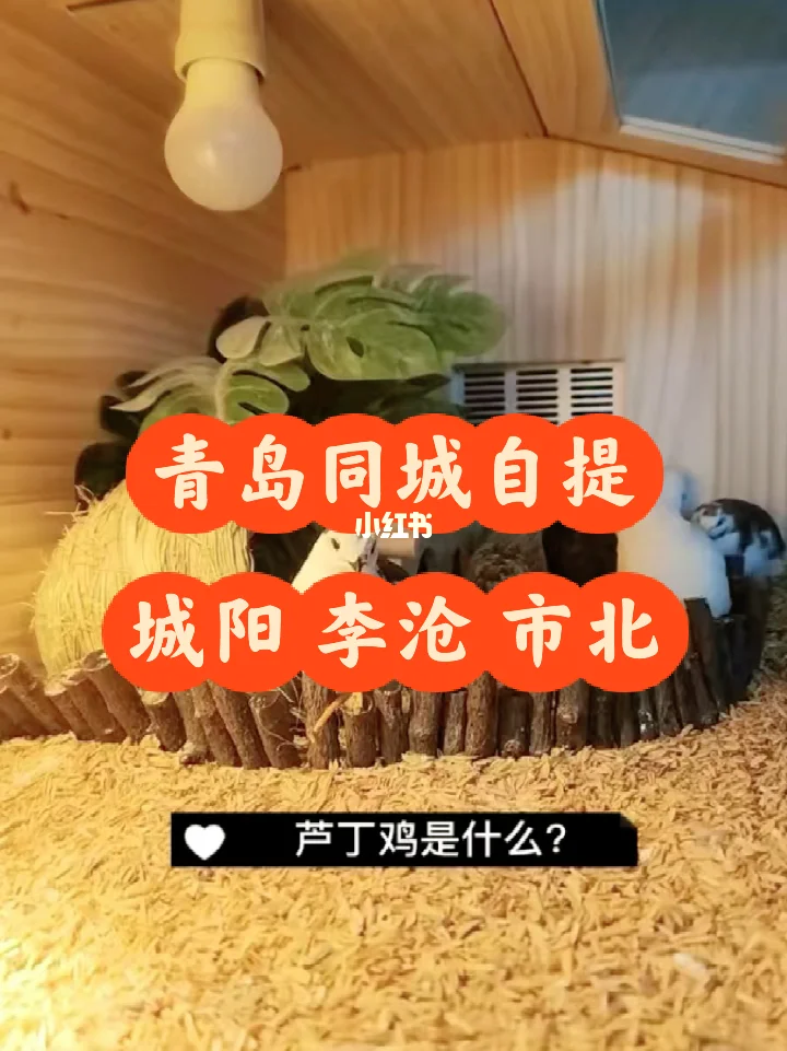 作文远离手机的题目_放下手机远离游戏文章标题_远离手机远离游戏主题
