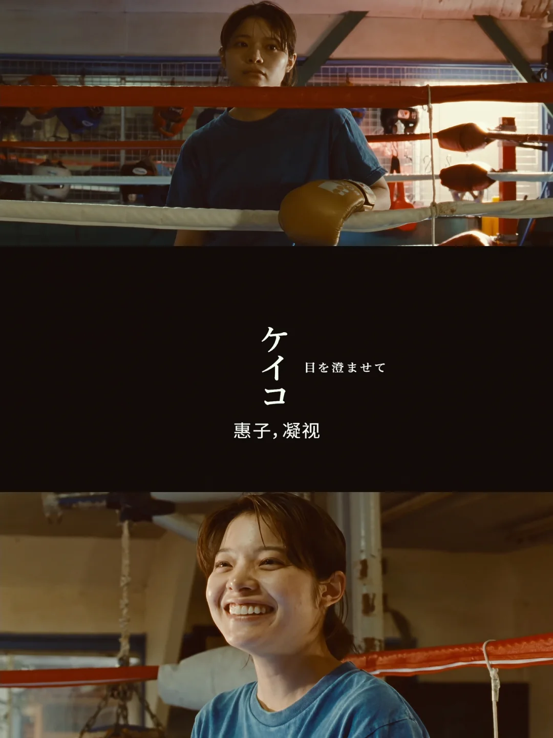 西条风_西条风_西条风