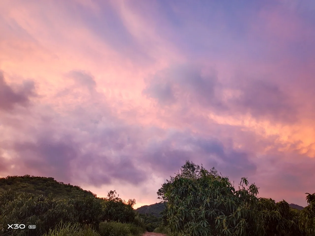 元旦诗歌朗诵会宣传语_元旦诗歌朗诵_元旦诗歌