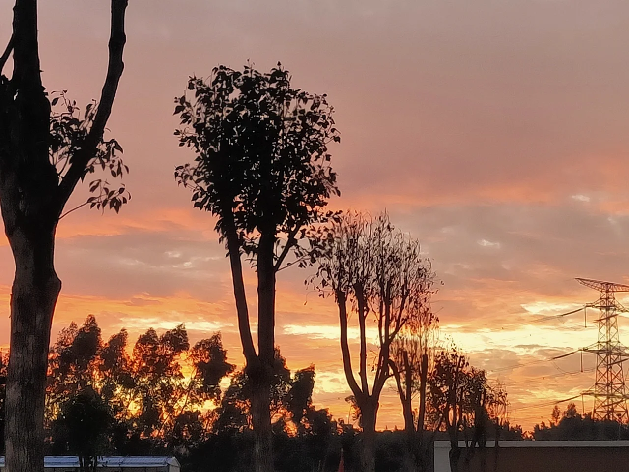 元旦诗歌_元旦诗歌朗诵_元旦诗歌朗诵会宣传语