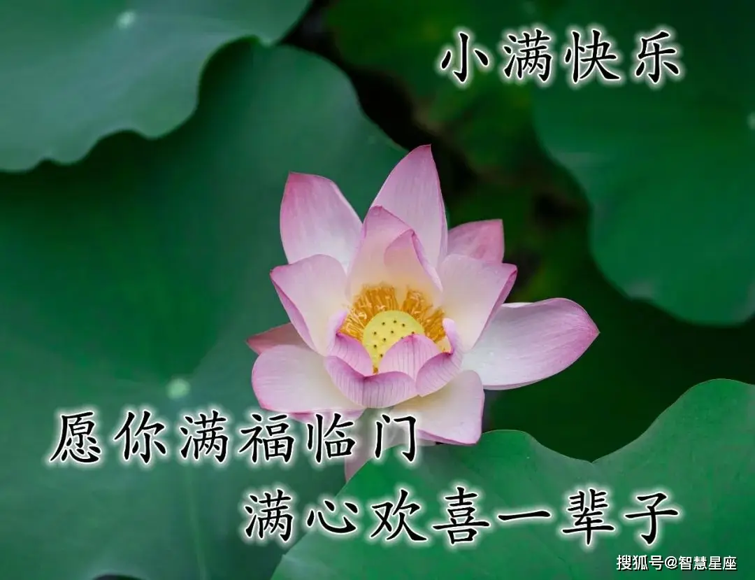 小满是哪一天_小满_小满拓