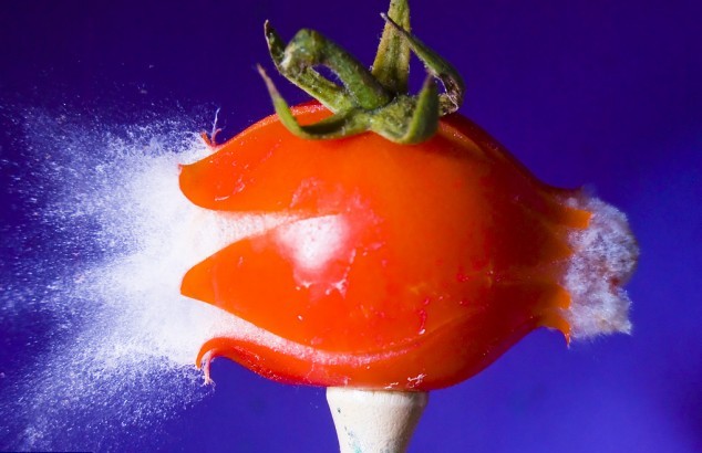 剧场舰队收藏版怎么玩_剧场舰队收藏版攻略_舰队收藏剧场版