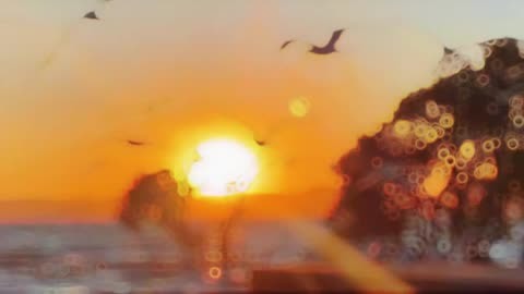 暗龙殿_光与暗之龙_暗龙特工