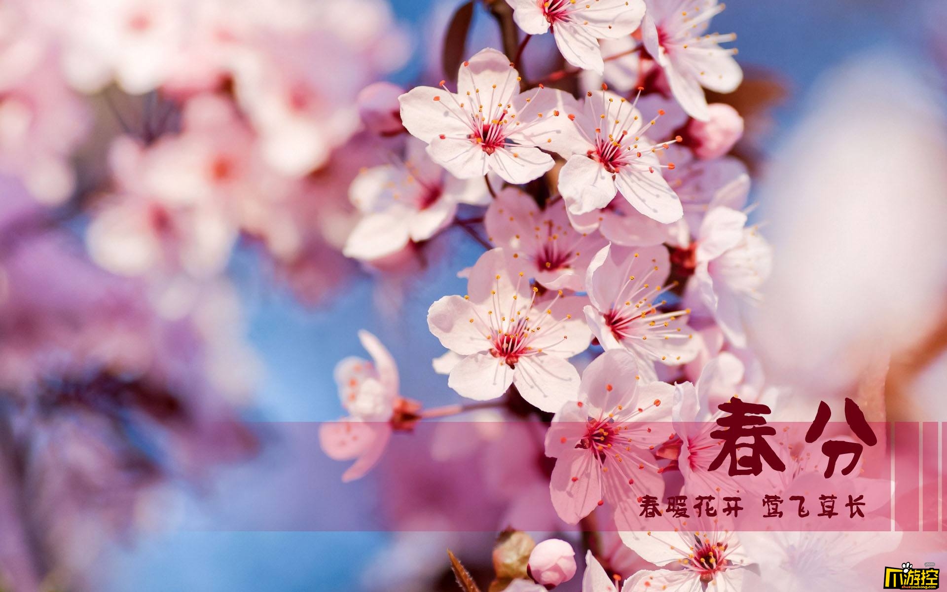月日年还是日月年_2018年3月11日_2025年是不是闰月年