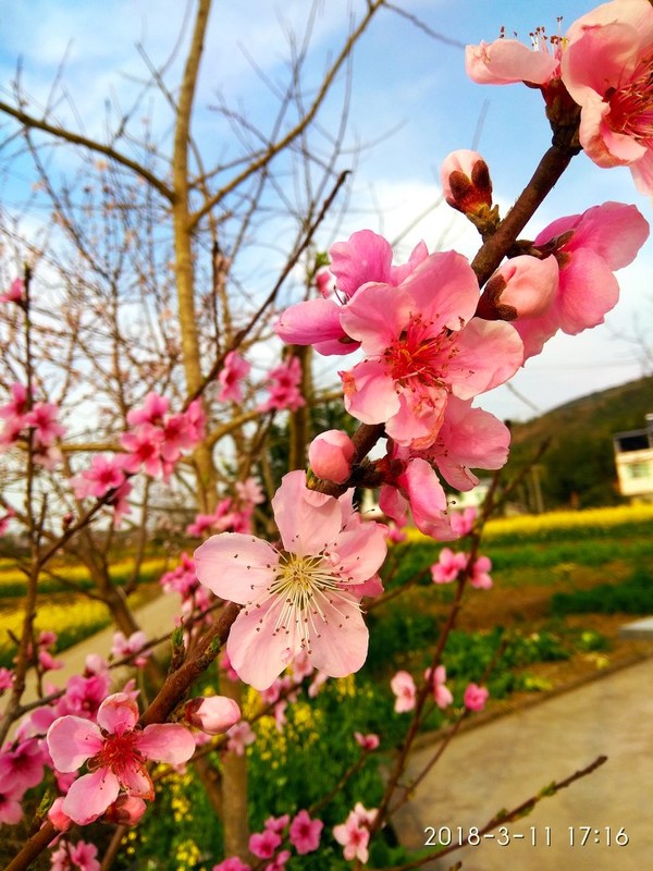 月日年还是日月年_2018年3月11日_2025年是不是闰月年