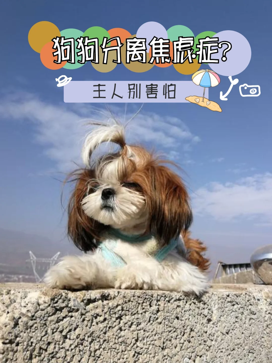 51几天假_产假98天包括产前假吗_假天真