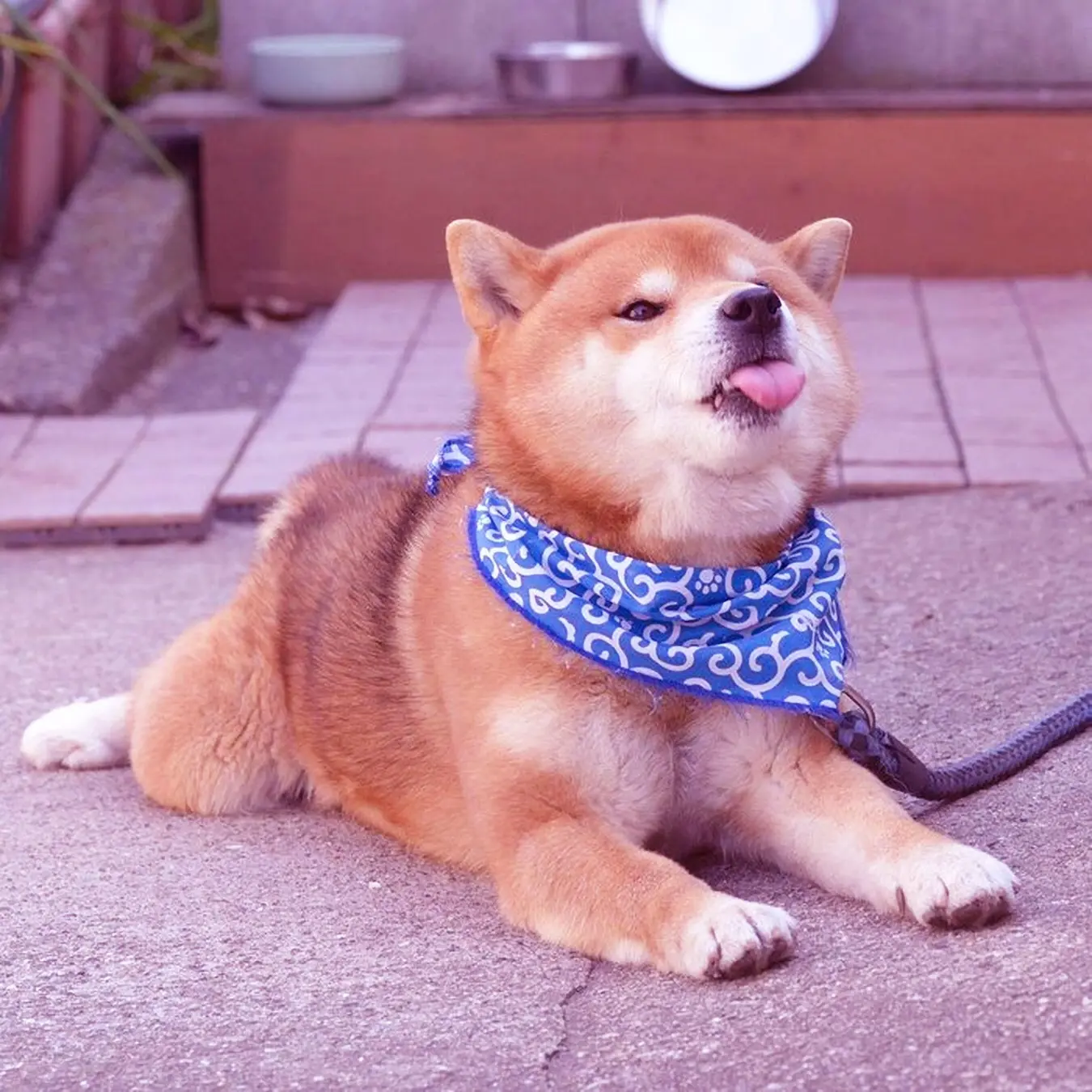 电脑的system是什么_电脑是谁发明出来的_电脑是什么