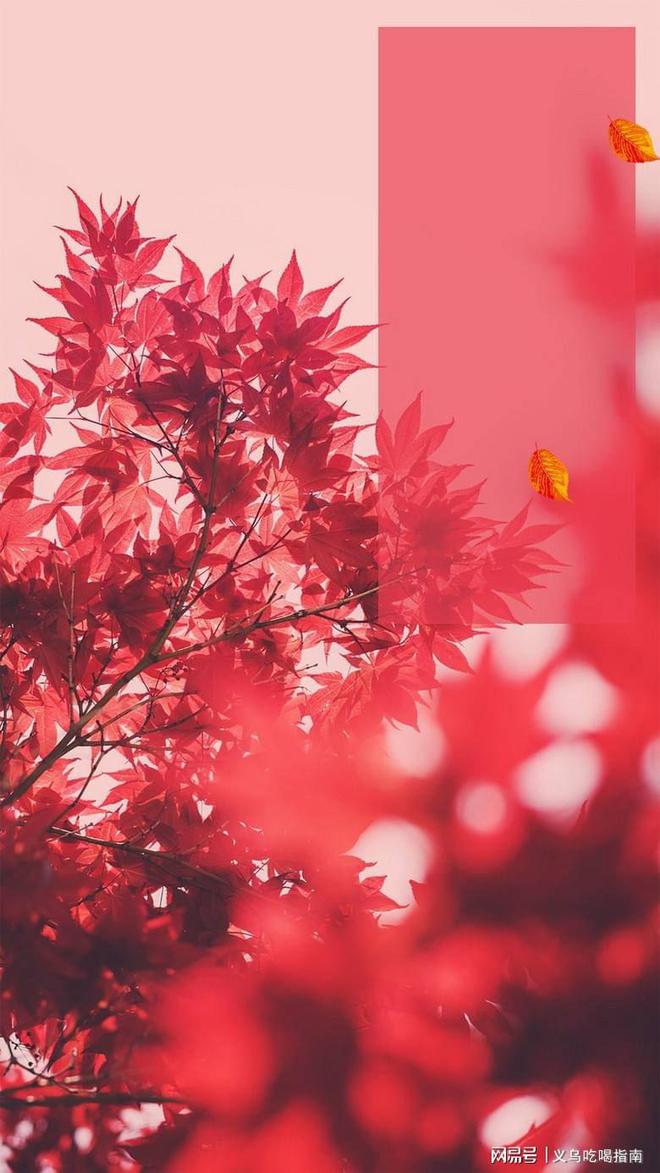 苍青幻影_苍青幻影百度百科_苍青幻影立绘