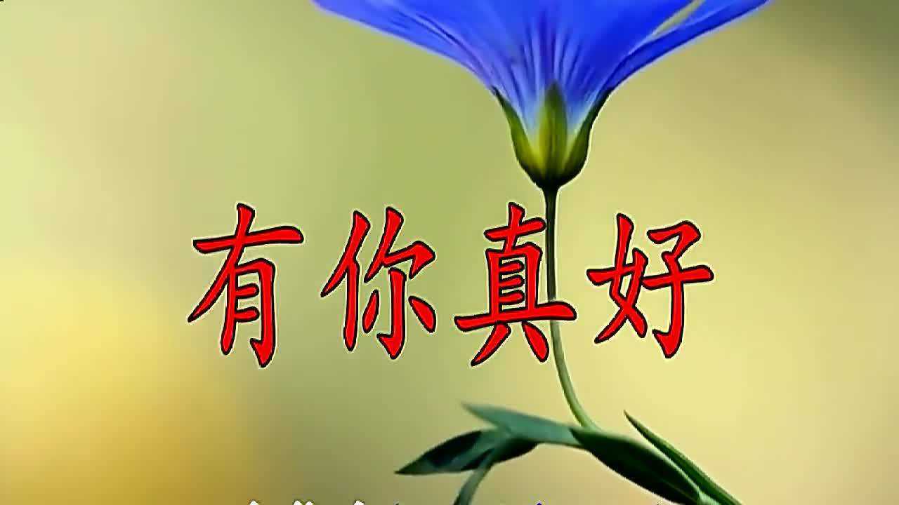 套路歌词是什么意思_套路这首歌_千层套路歌词