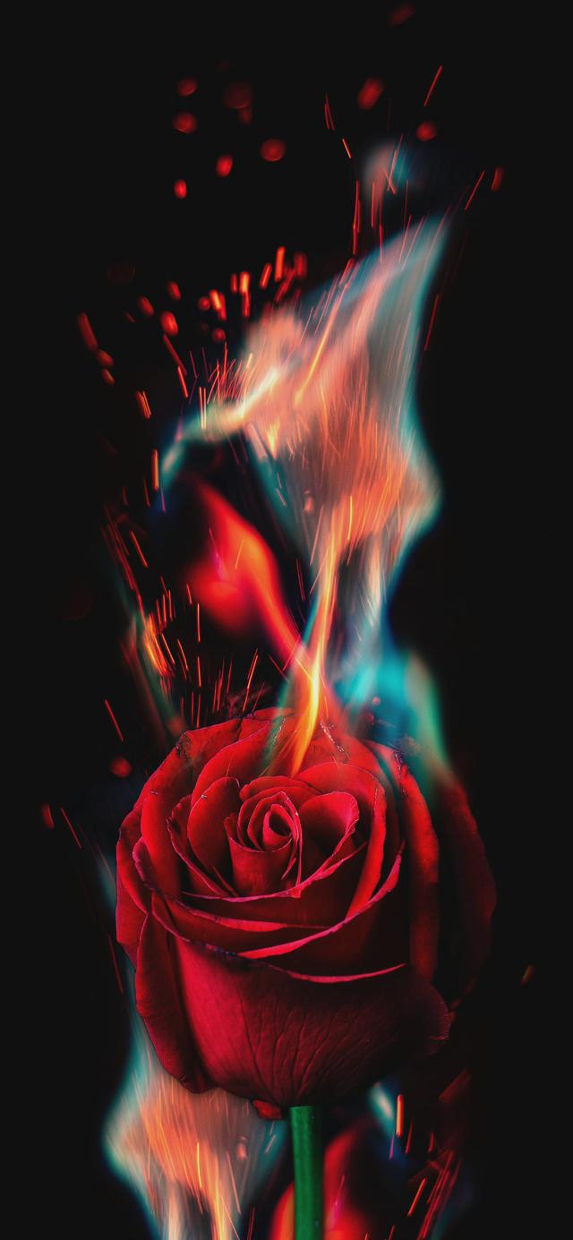 暗黑壁纸手机壁纸_暗黑游戏手机壁纸_暗黑壁纸手机游戏图片