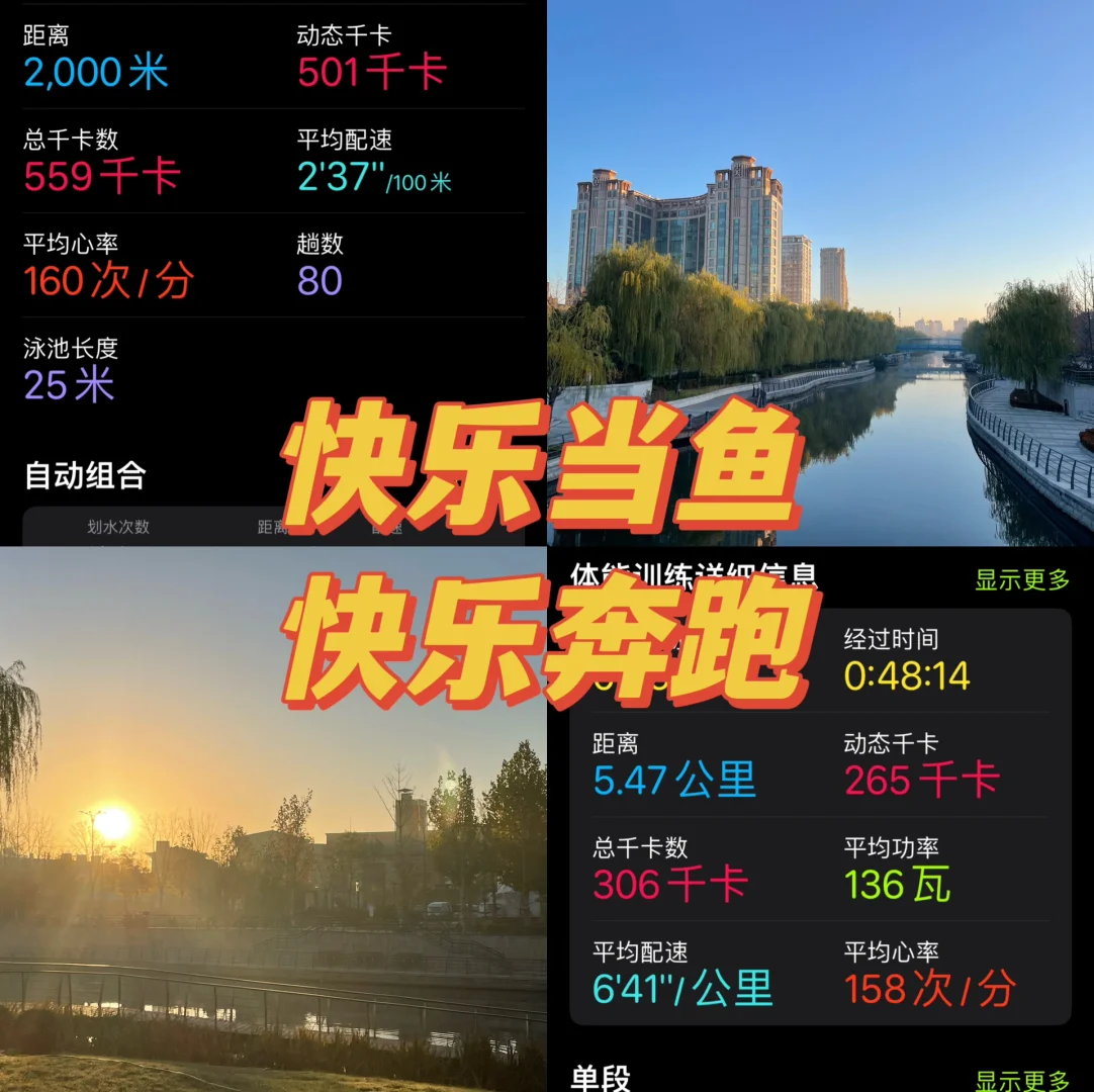 h手机游戏养成_单机游戏养成手机游戏_养成手机游戏排行榜