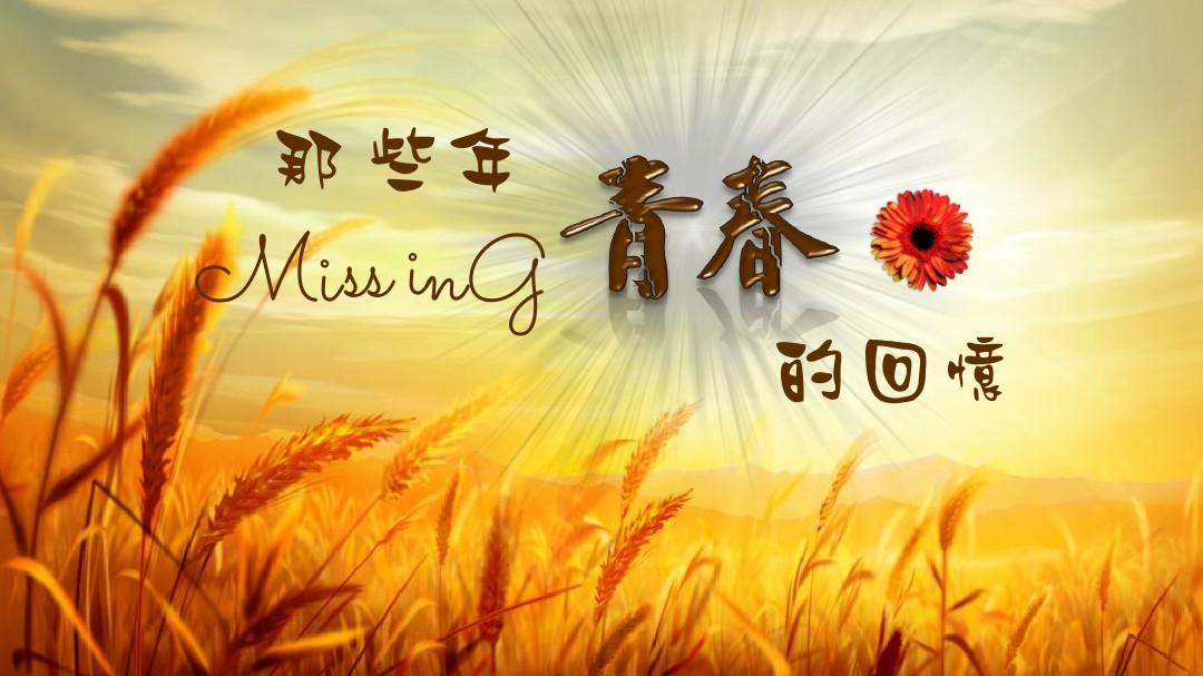 存档游戏手机铃声_手机铃声游戏主题曲_存档铃声手机游戏怎么删除