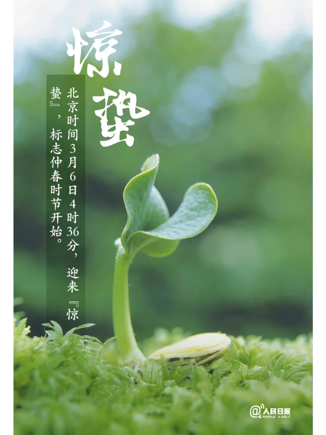 惊蛰算一月还是二月_惊蛰的月亮是满月吗_惊蛰是几月几号