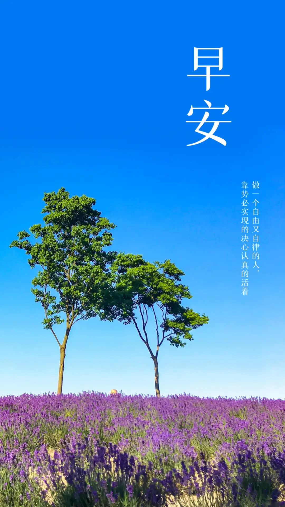 早鸟票是啥意思_早鸟_早鸟app买票