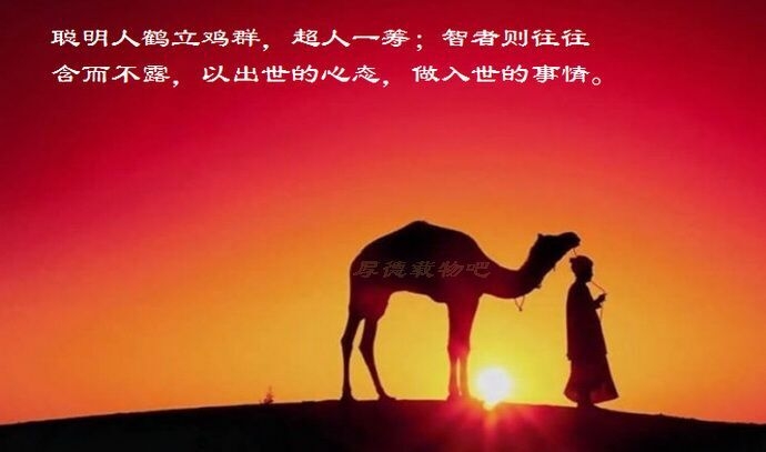 润乾软件公司_润乾_润乾报表mongodb