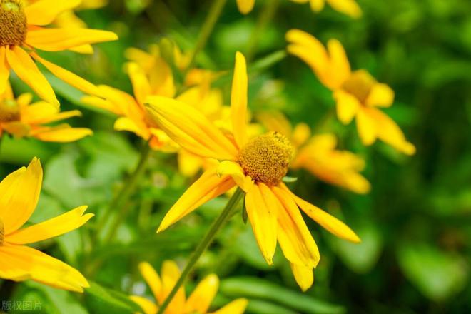 冯熙_冯熙尧演员_冯熙惠