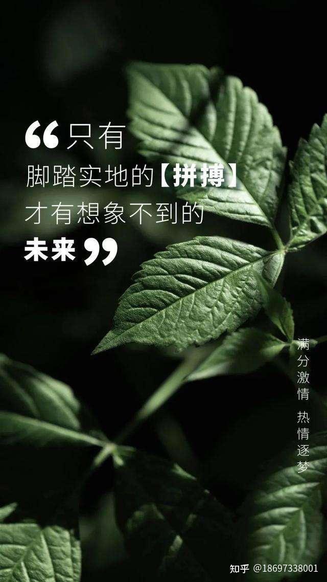 欢迎来到实力贴吧_欢迎来到实力真锅_欢迎来到实力