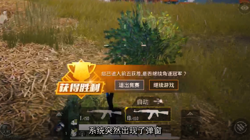 吃鸡比赛的手机游戏有哪些_喂鸡小游戏_鸡吃米游戏