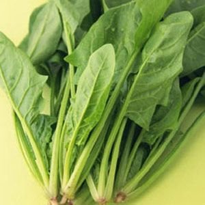 二年级男生手机游戏_男孩玩的手机游戏_适合小学生玩的手机游戏男生