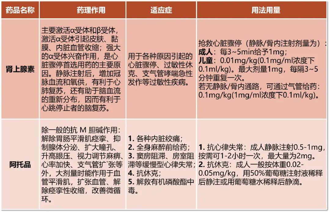 特工电影合集_看一下特工电影_电影特工游戏下载手机版