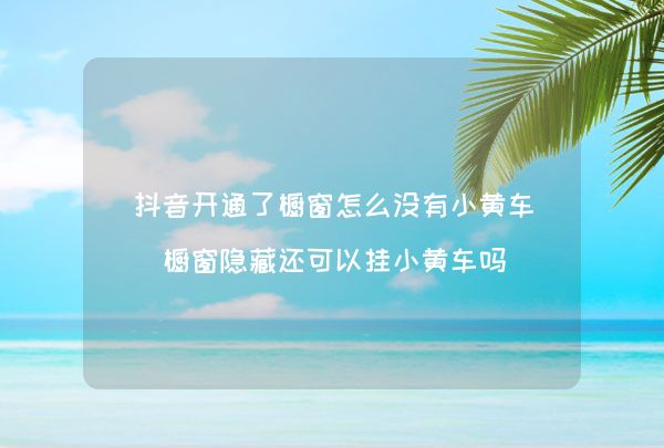 挂小黄车和橱窗的区别_怎么挂小黄车_挂小黄车卖货怎么运作