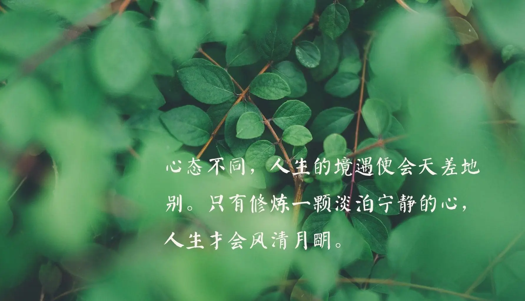 襟川阳一_襟川阳一_襟川阳一