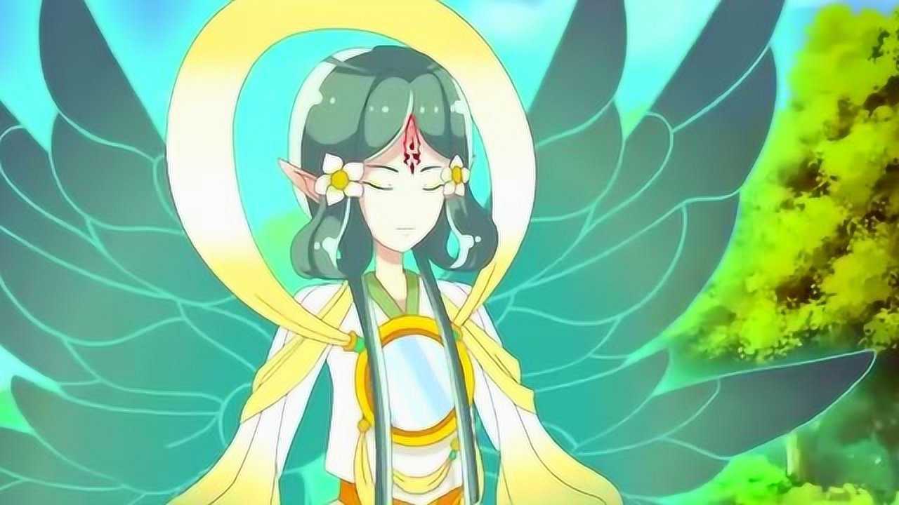 水仙视频_什么是水仙视频_水仙花视频素材
