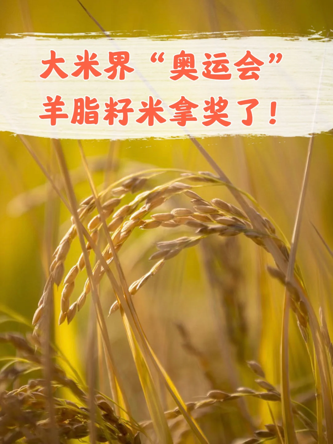 大米评测fps软件_大米测评游戏手机_大米评测b站