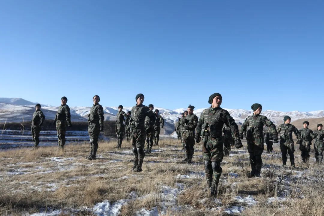 海贼王寇沙_寇沙_寇沙和薇薇