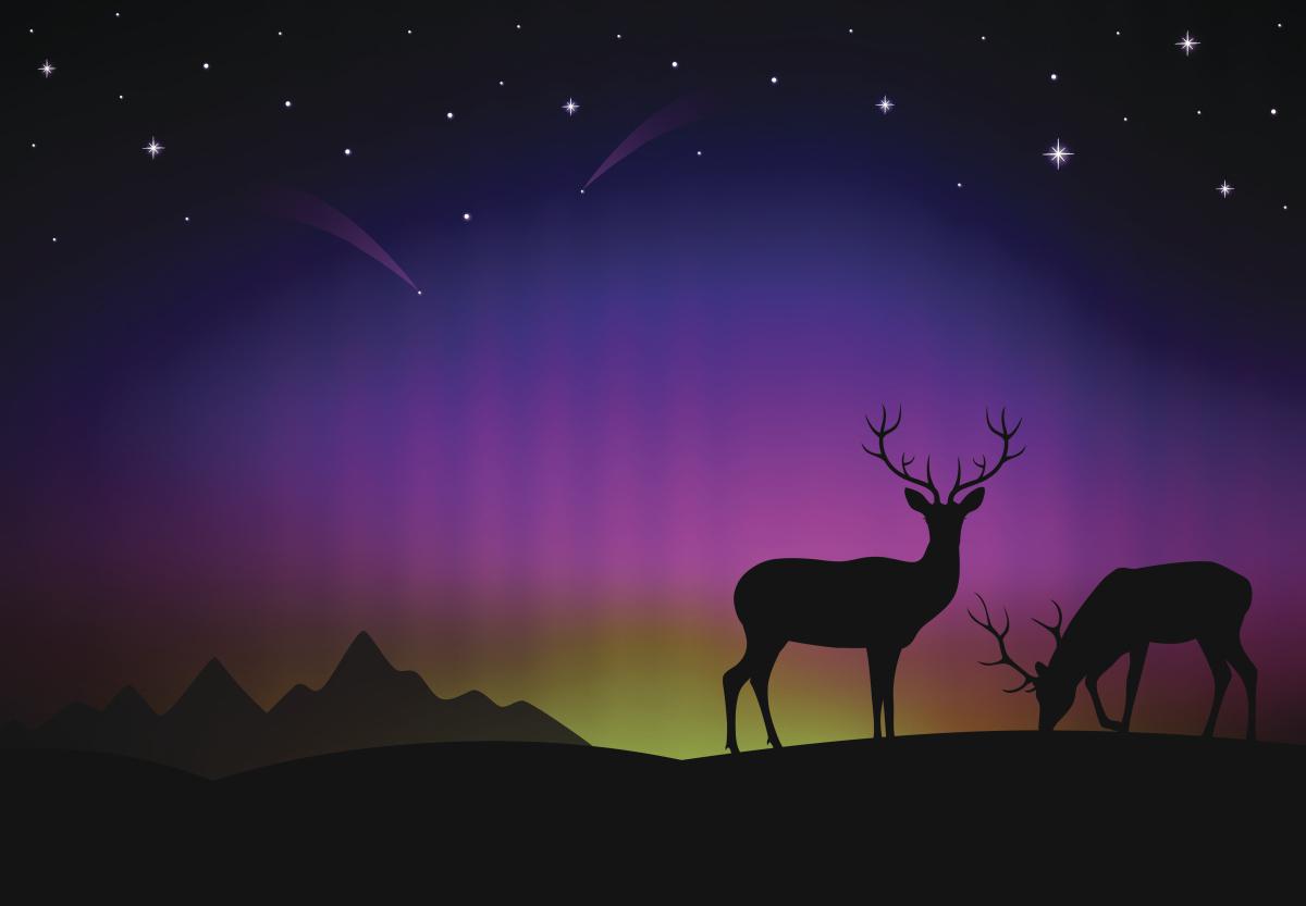 蒙德地灵龛分布图_蒙德_蒙德地灵