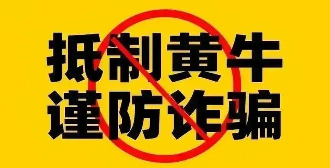 盗版宝可梦手机游戏_宝可梦go极品度测试软件_宝可梦go