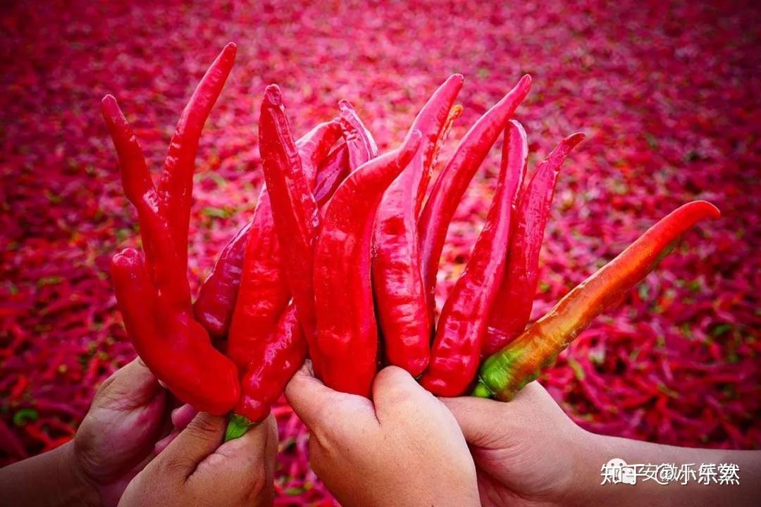 放暑假时间2021大学_2021大学暑假放多久_大学暑假放假时间