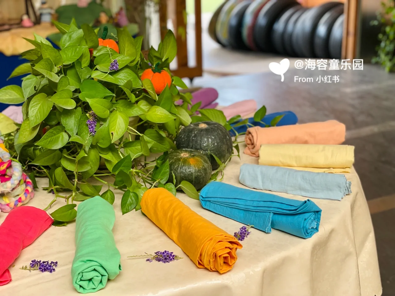 感官游戏手机游戏怎么玩_游玩手机游戏_玩手机游戏的感受作文