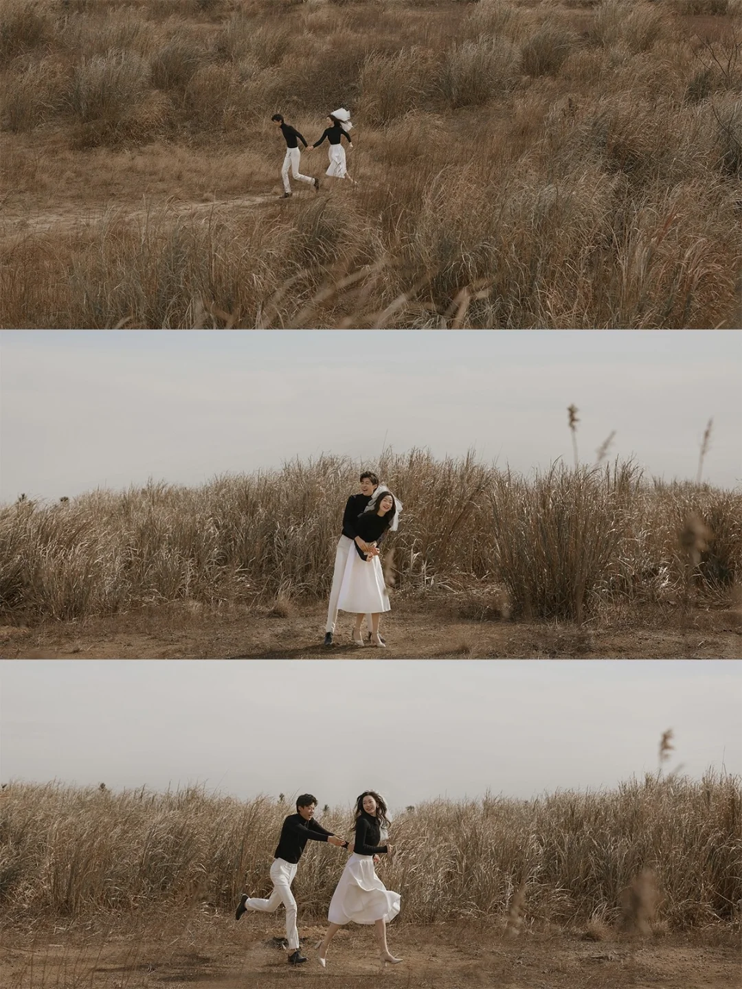 岛德大学_岛德地图_德岛