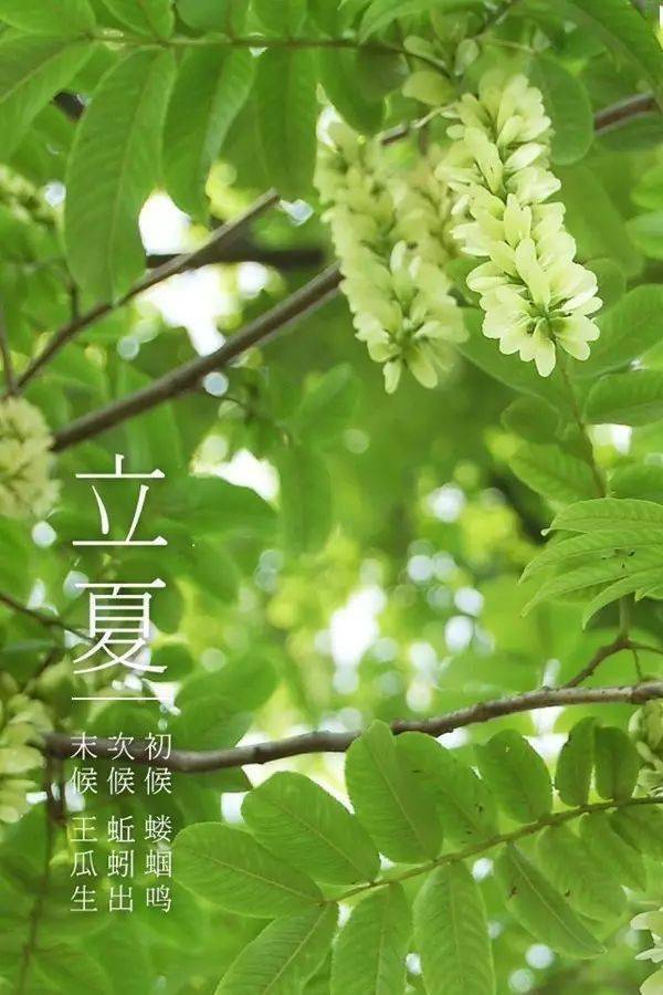6岁 手机游戏_手机游戏模拟器_手机游戏怎么在电脑玩