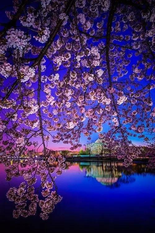 芙朵拉_芙朵拉地图_芙朵拉怪谈是谁的