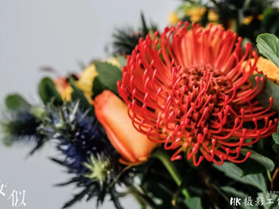 伯父_伯父_伯父