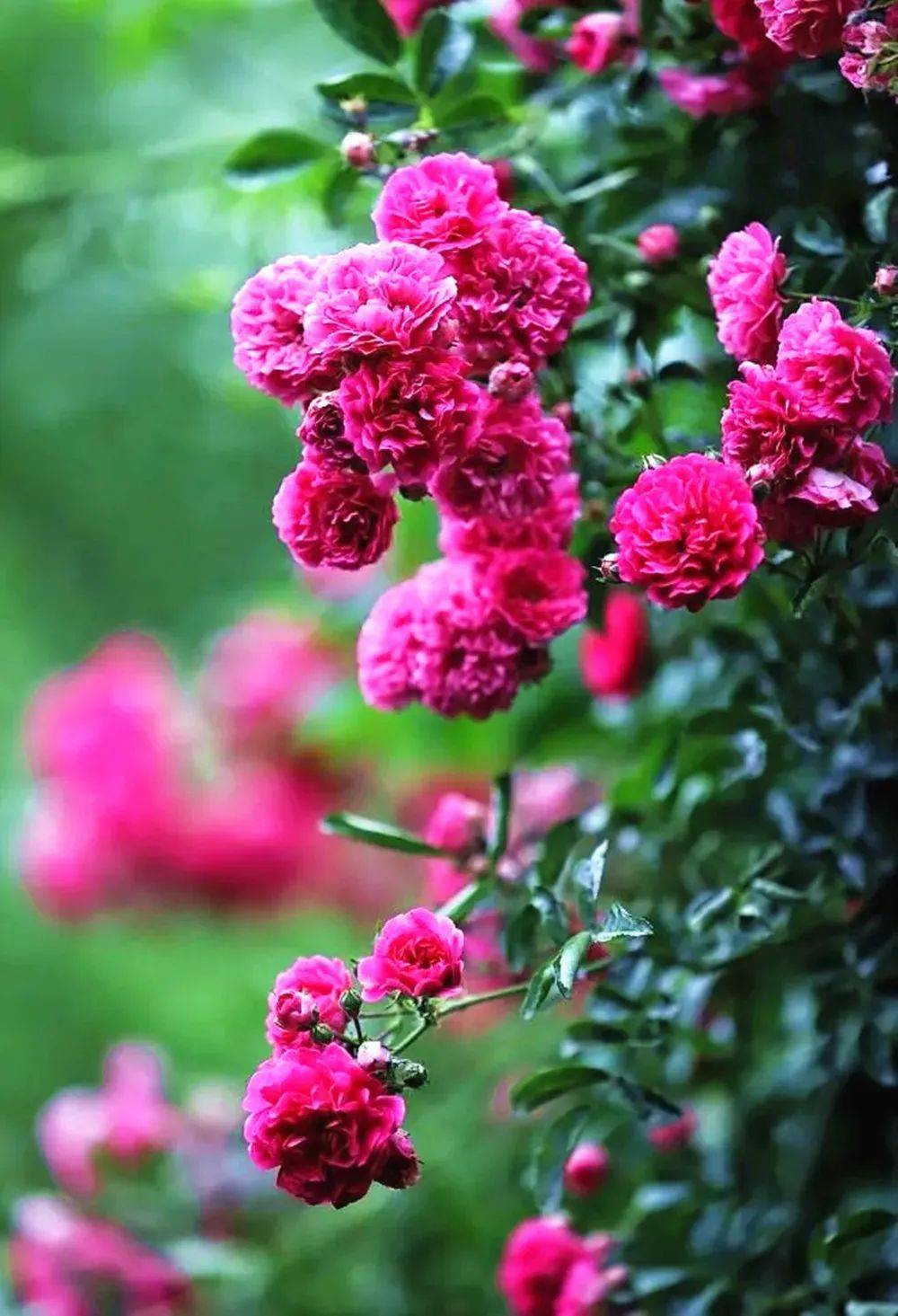 隐藏游戏界面的软件_低配手机如何隐藏游戏界面_隐藏界面配低手机游戏怎么设置