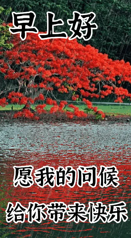 iphone壁纸动态设置_苹果11怎么设置动态壁纸_苹果壁纸动态效果怎么设置