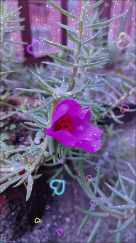 换皮游戏怎么制作_换皮手游有哪些_低质量的换皮游戏手机版