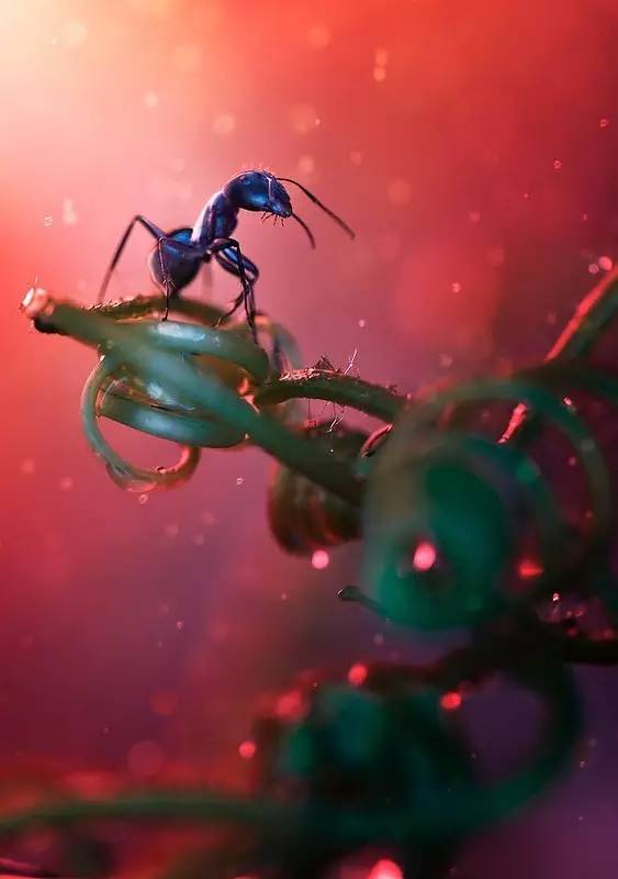 特效放大镜在哪_放大镜特效_特效放大镜怎么弄美图秀秀