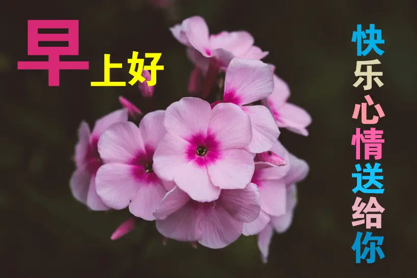 巴萨塔舞蹈_巴萨塔什么意思_塔巴萨